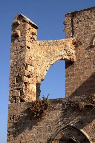 Mimari Özellikler  - Flying Buttresses